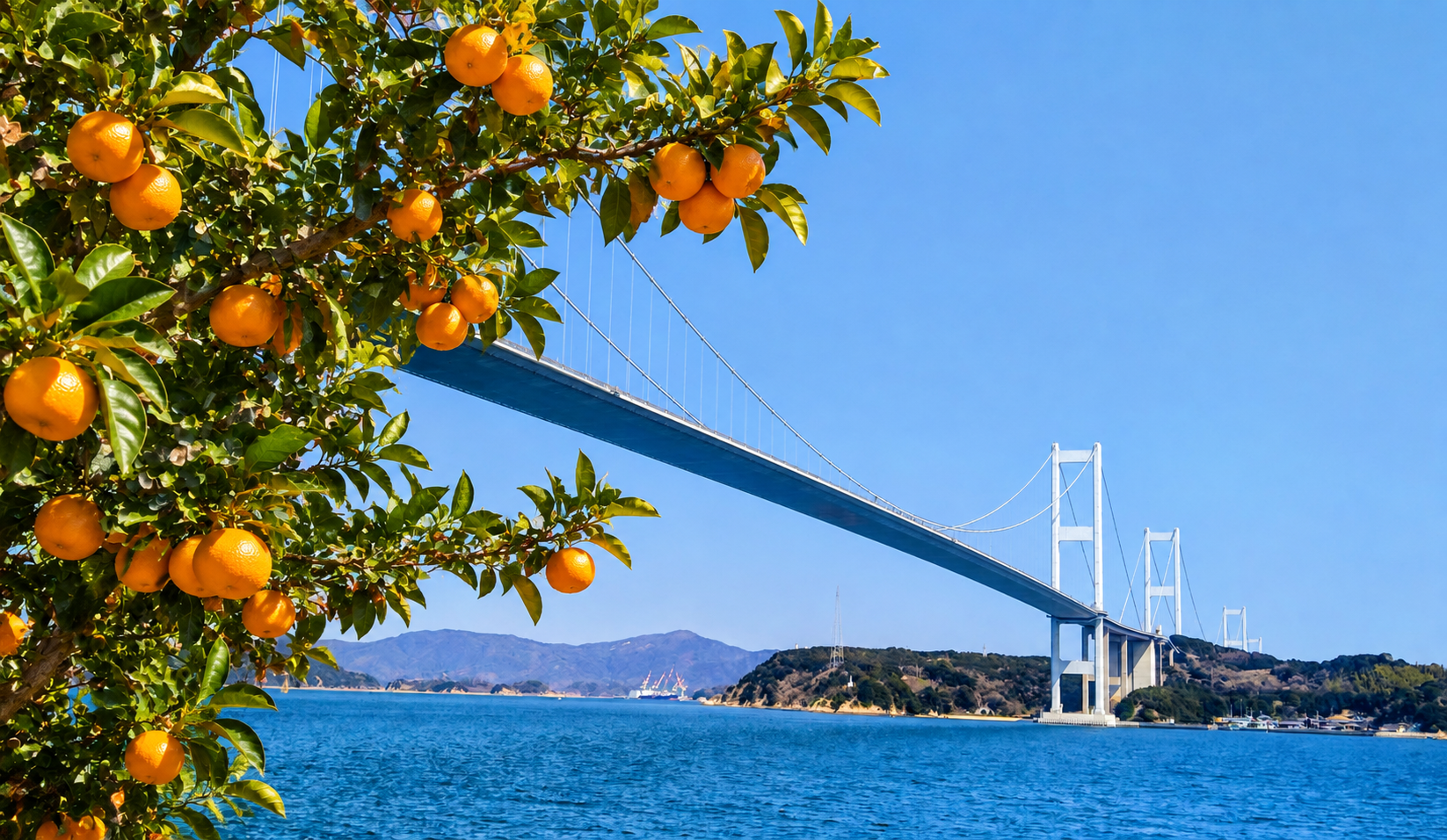 来島海峡大橋の実写をもとに、手前をみかんの木に置き換えた合成イメージ